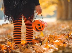 Halloween Midterm Fun at the Falls Halloween midterm escapes